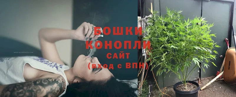 Канабис THC 21%  KRAKEN как войти  Гороховец  закладка 